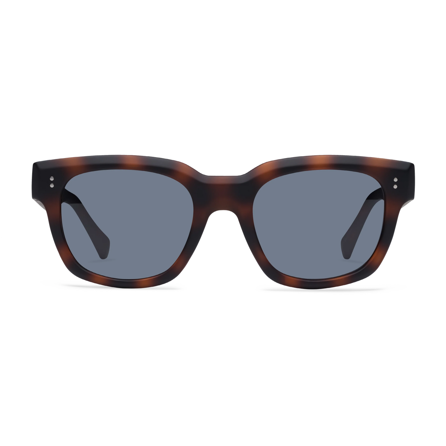 Kaine Sun Progressives