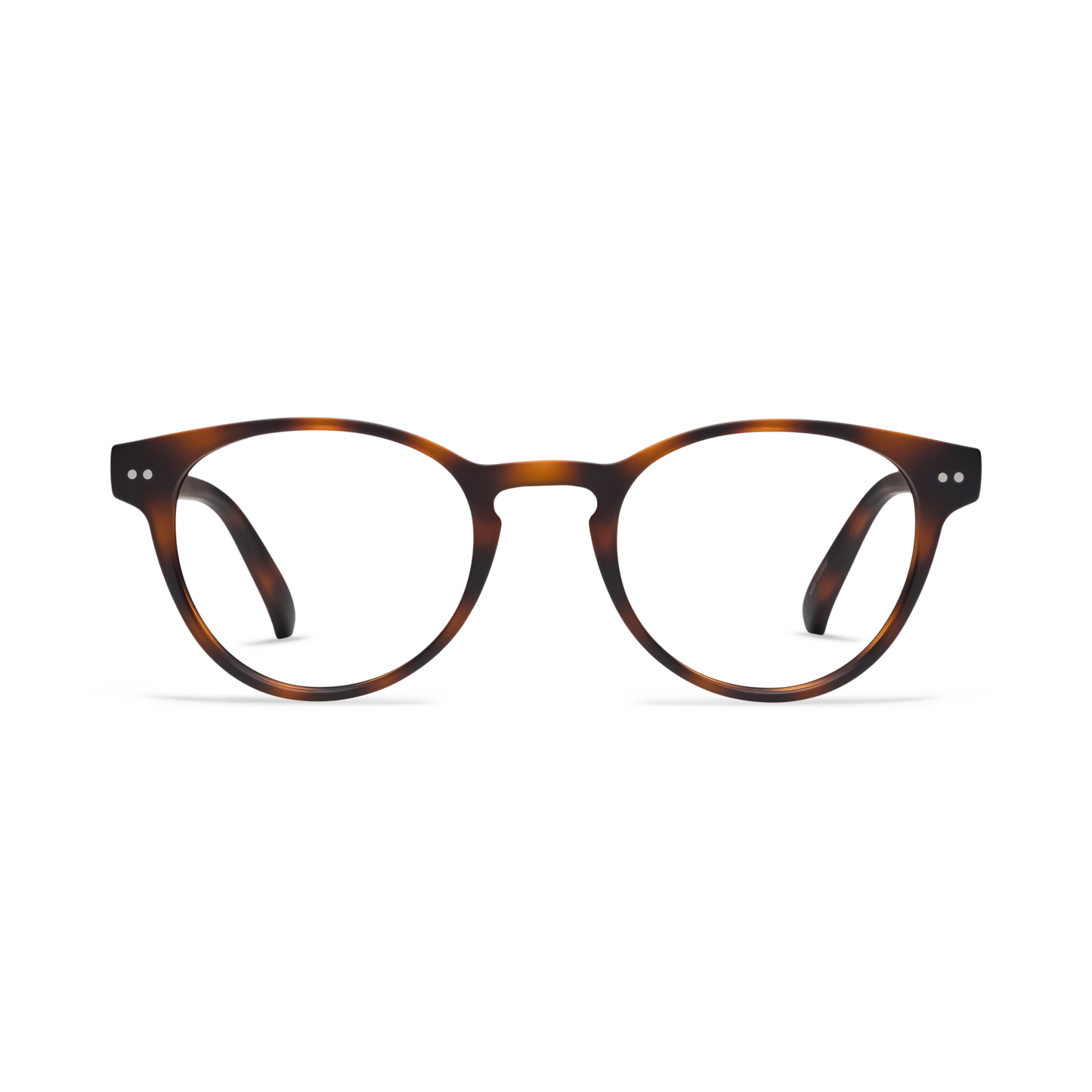Abbey Progressives