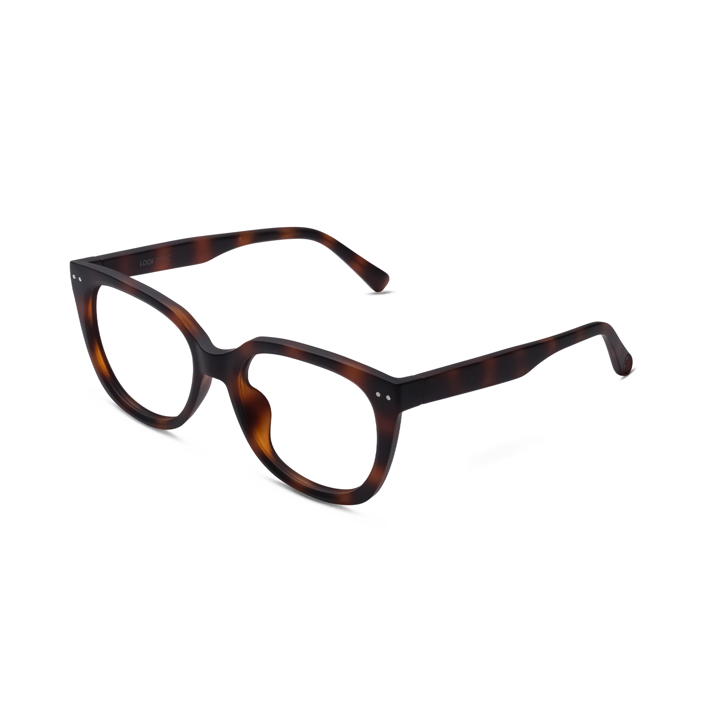 Evita Progressives