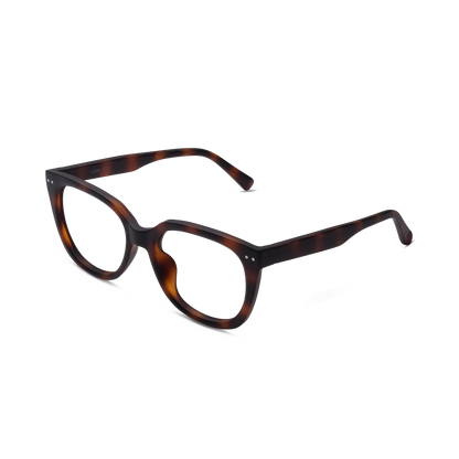 Evita Progressives