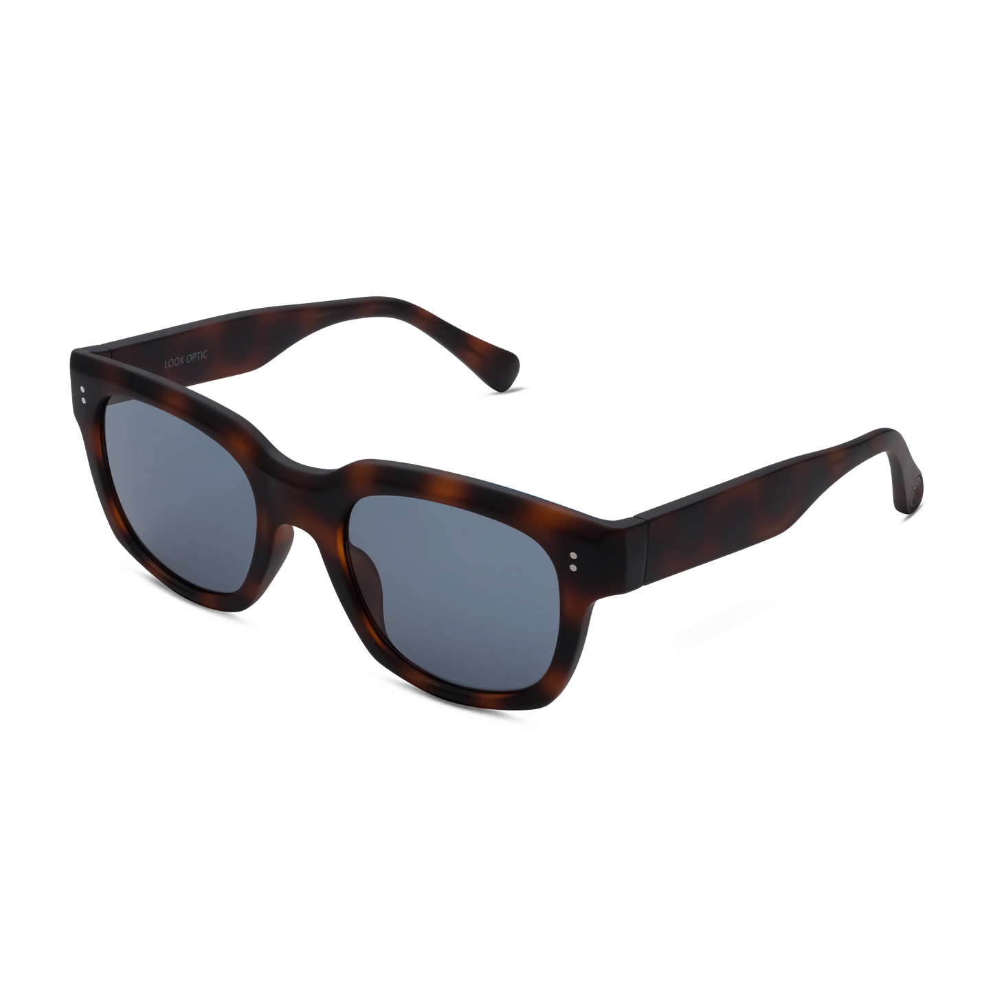 Kaine Sun Progressives