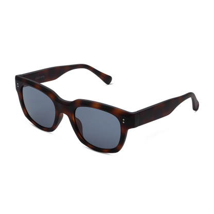 Kaine Sun Progressives