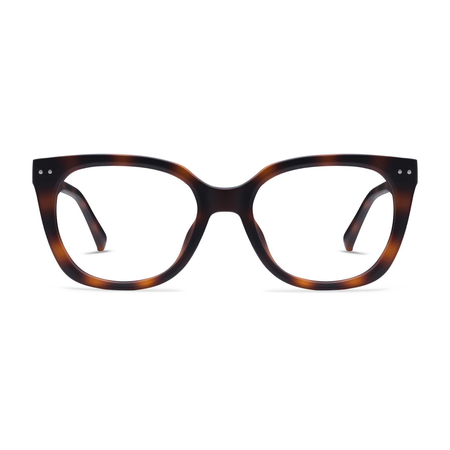 Evita Progressives
