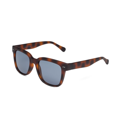 Laurel Sun Progressives
