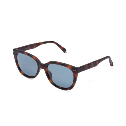 Evita Sun Progressives