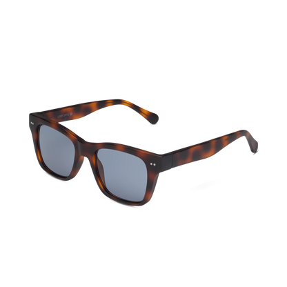 Cosmo Sun Progressives